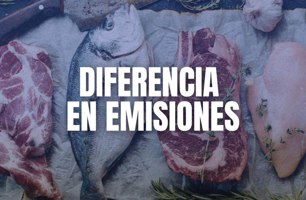Diferencia de emisiones y su impacto ambiental